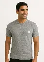 GRAY-3.webp
